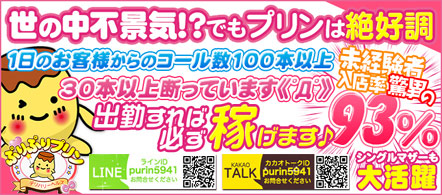 ぷりぷりプリンつくば店 - 土浦・つくばのデリヘル求人情報