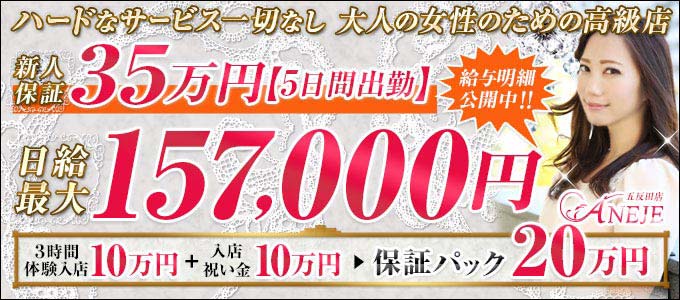 ANEJE~アネージュ~ - 五反田のホテルヘルス求人情報