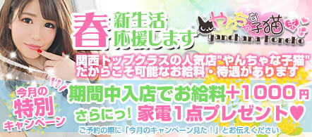 風俗求人・やんちゃな子猫 神戸三宮