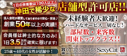 セクシーキャット神田店 - 神田・秋葉原のファッションヘルス求人情報
