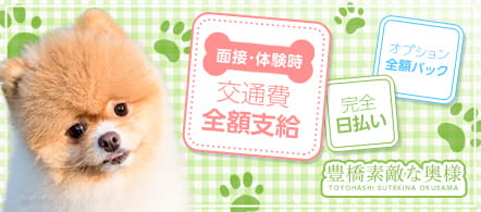 豊橋素敵な奥様 - 豊橋・豊川のデリヘル求人情報