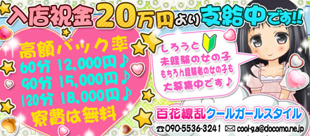百花繚乱クールガールスタイル 太田・足利店 - 太田・館林のデリヘル求人情報