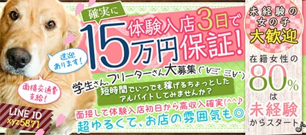 T-バックス - 千葉市のデリヘル求人情報