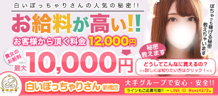 白いぽっちゃりさん新橋店 - 新橋・銀座のホテルヘルス求人情報