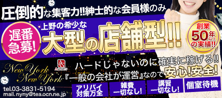 ニューヨークニューヨーク~NewYork NewYork~ - 上野の店舗型ヘルス求人情報