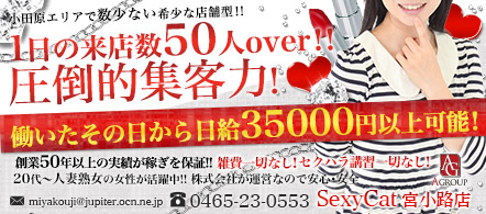 セクシーキャット宮小路店 - 小田原のファッションヘルス求人情報