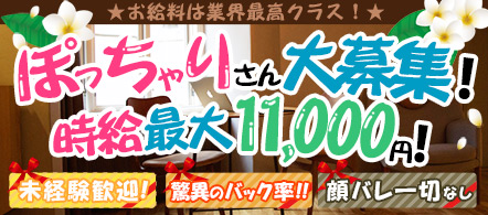 BBW五反田店 - 五反田のデリヘル求人情報