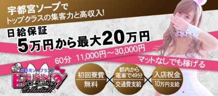 バニーコレクション - 宇都宮のソープランド求人情報