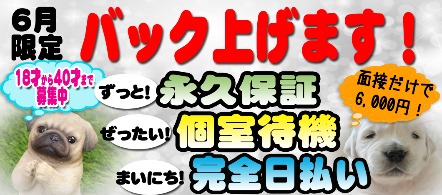 風俗求人・ダック京都
