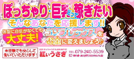 姫路ぽっちゃり巨乳爆乳専門店紅いうさぎ - 姫路・加古川のデリヘル求人情報