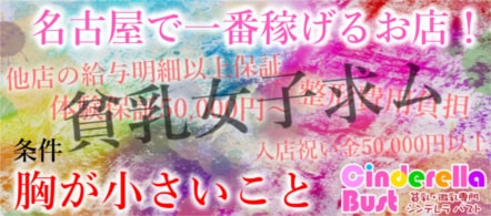貧乳、微乳専門シンデレラバスト - 栄のデリヘル求人情報
