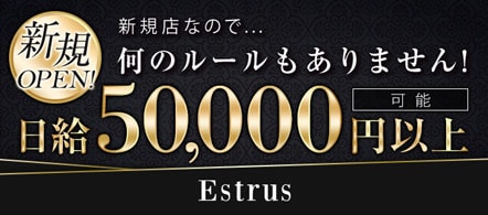 Estrus - 新栄・東新町のデリヘル求人情報