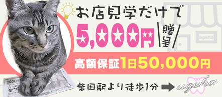 AGEHA - 柴田のファッションヘルス求人情報