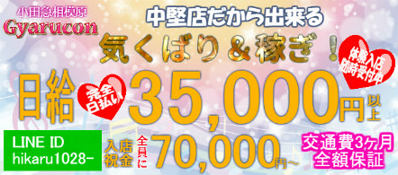 ギャルソン - 相模原のピンクサロン求人情報