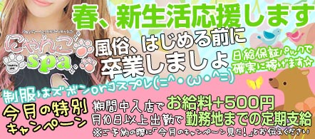 大阪 風俗求人・にゃんこスパ梅田