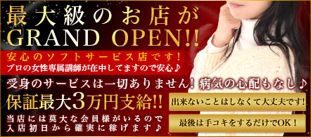 AromaDite-アロマディーテ-新宿 - 新宿のエステ求人情報