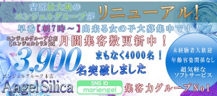 エンジェルシリカ - 吉原のソープランド求人情報