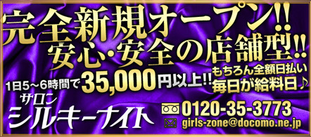 シルキーナイト - 小山のピンクサロン求人情報