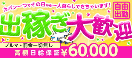 Platinum Lady (プラチナレディ) - 豊橋・豊川のデリヘル求人情報