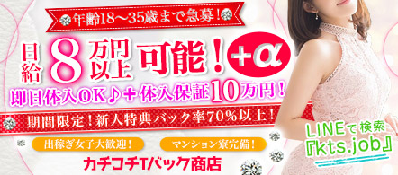 カチコチTバック商店 - 宇都宮のデリヘル求人情報