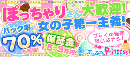 新宿ぷるふわプリンセス - 新宿のデリヘル求人情報