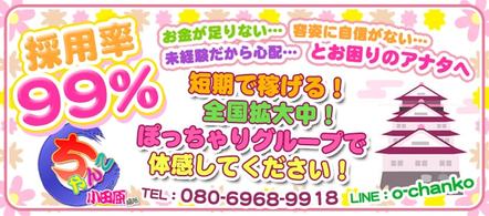 小田原箱根ちゃんこ - 小田原のデリヘル求人情報