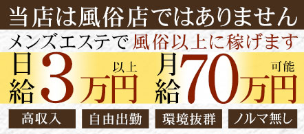 宇都宮Stella(ステラ) - 宇都宮のメンズエステ(非風俗)求人情報