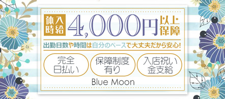 ブルームーン - 八千代のピンクサロン(ピンサロ)求人情報