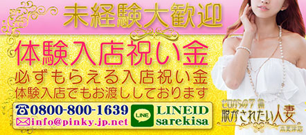 脱がされたい人妻 木更津店 - 木更津のデリヘル求人情報