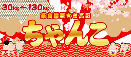 奈良橿原大和高田ちゃんこ - 香芝・大和高田のデリヘル求人情報