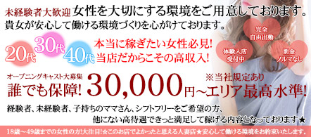 奥様なでしこ - 宇都宮のデリヘル求人情報
