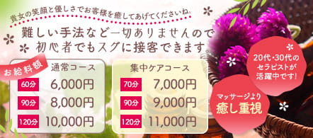 Premium Spa Transport~プレミアム・スパ・トランスポート~ - 岐南のメンズエステ(非風俗)求人情報