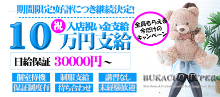 ブカチョハイパー - 新大阪・西中島のホテルヘルス求人情報