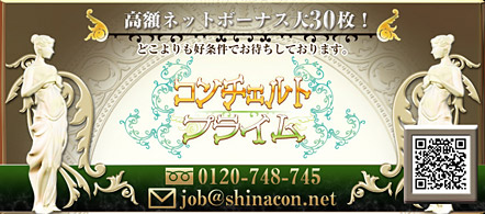 15navi求人イメージ 品川コンチェルトプライム
