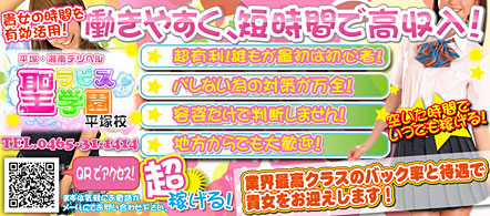 15navi求人イメージ ラピス学園平塚校