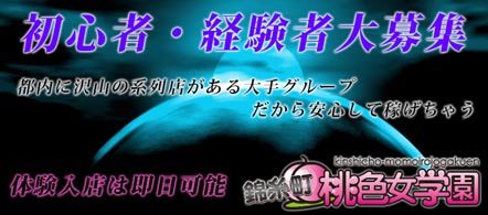 15navi求人イメージ 錦糸町桃色女学園
