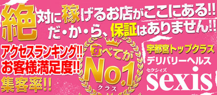 sexis - 宇都宮のデリヘル求人情報