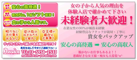 15navi求人イメージ Paradox