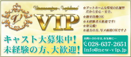 VIP - 宇都宮のソープランド求人情報