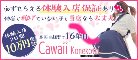 Cawaii Konekotai -かわいい子猫隊- - 高崎・前橋のデリヘル求人情報