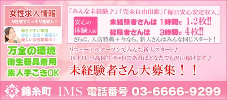 15navi求人イメージ IMS（インテリお姉さんのMスクール）