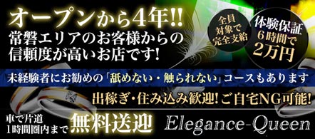 15navi求人イメージ エレガンスクイーン