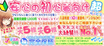 15navi求人イメージ 聖アルテミス学園