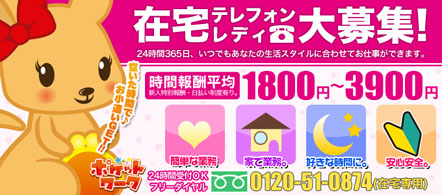 15navi求人イメージ ポケットワーク