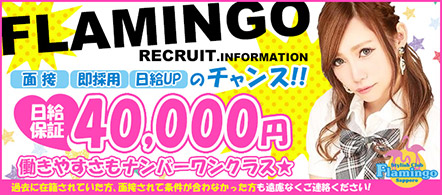 フラミンゴ - 札幌・すすきののキャバクラ求人情報