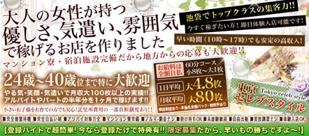 15navi求人イメージ 東京セレブスタイル