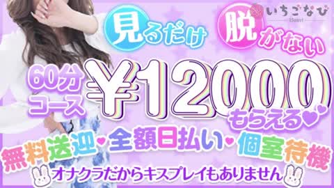 雑費引き無しで日給3万円以上！