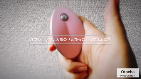 大人気のオプションのおもちゃって？