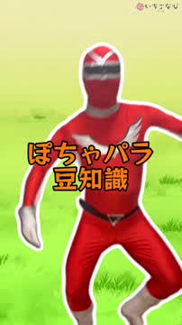 ぽちゃパラ豆知識！