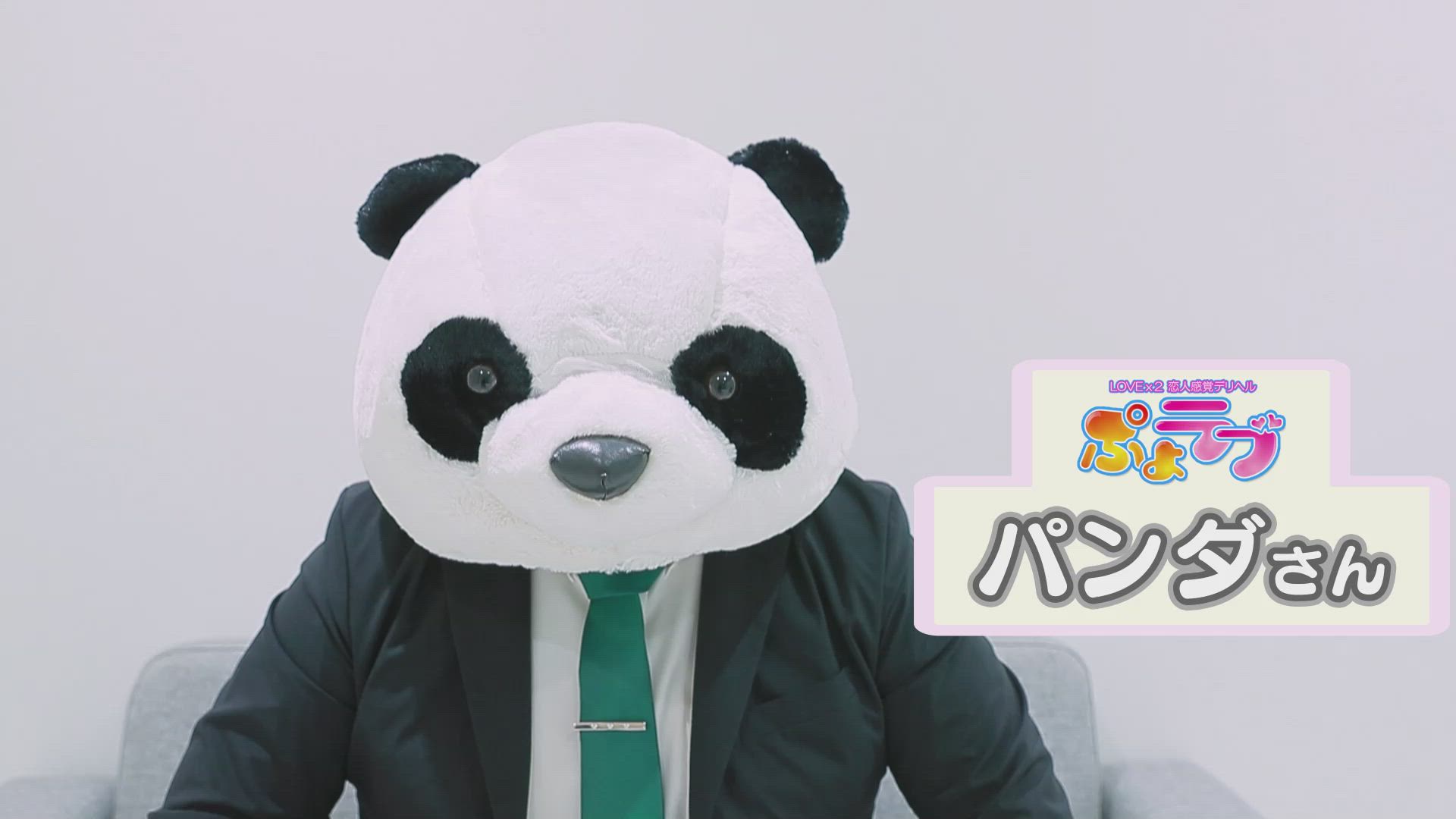 ぷよラブのマスコットスタッフ『パンダ』